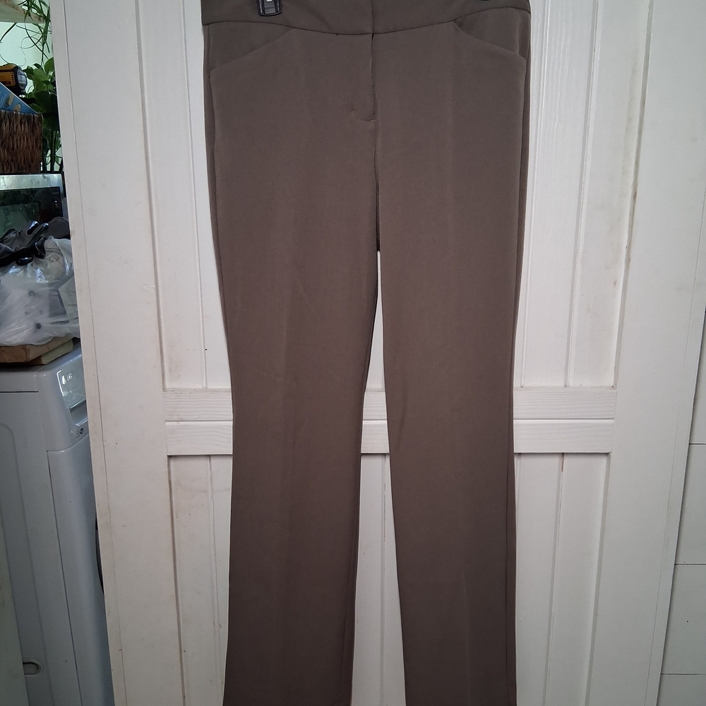 Express Editor Women's Pants